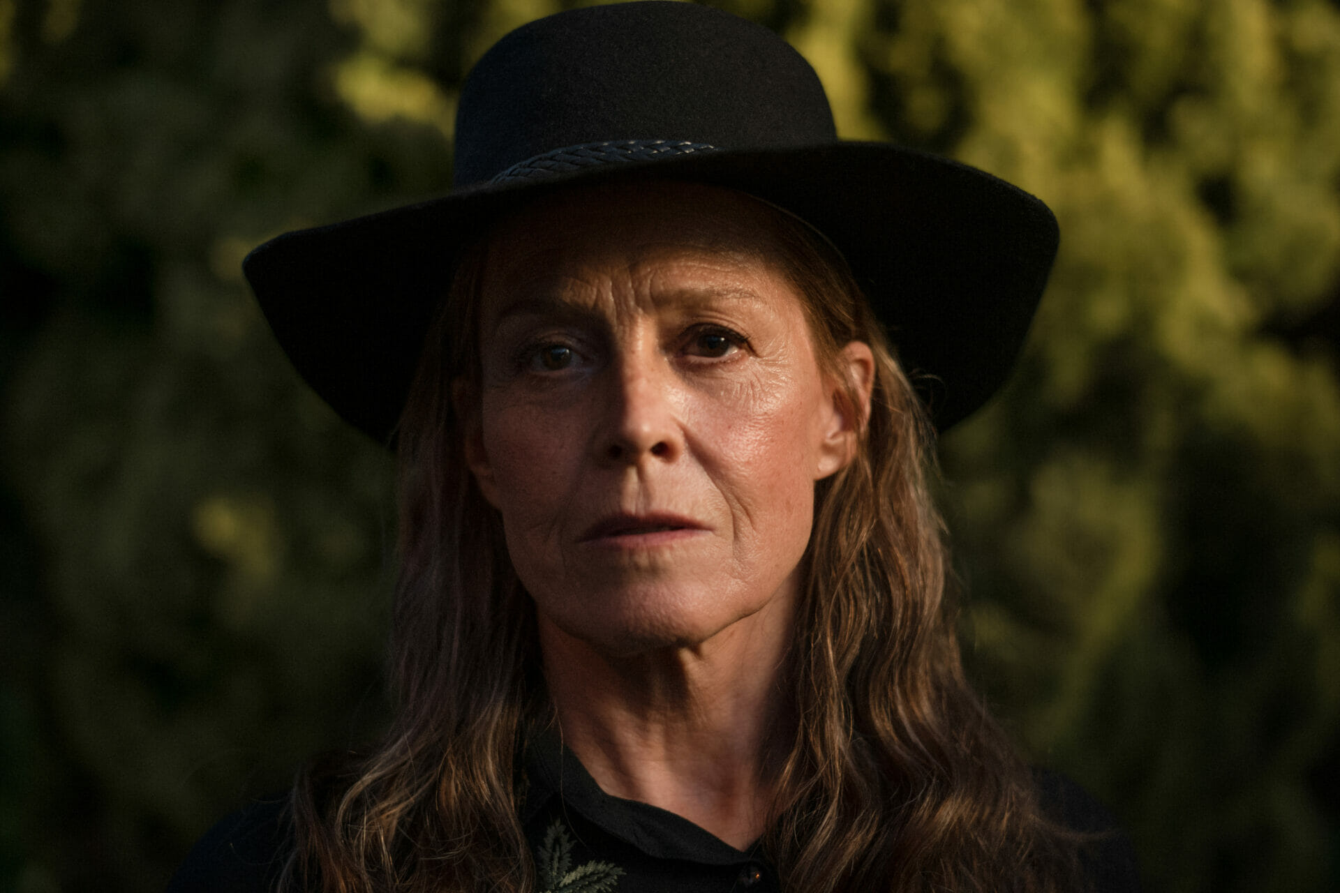 앨리스 하트의 잃어버린 꽃