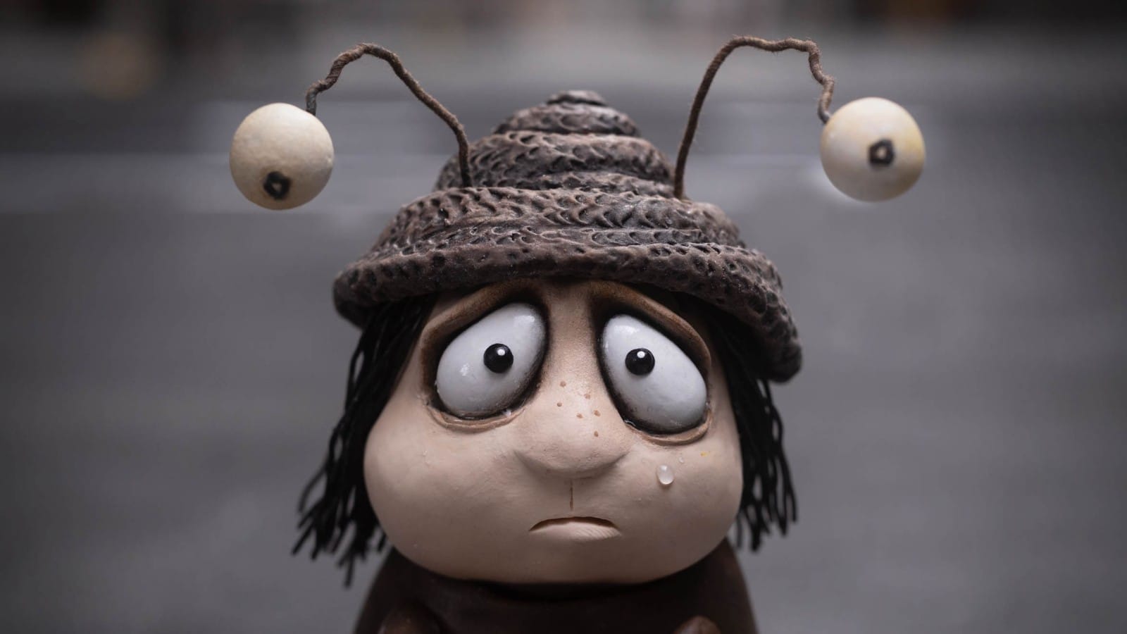 달팽이의 회고록