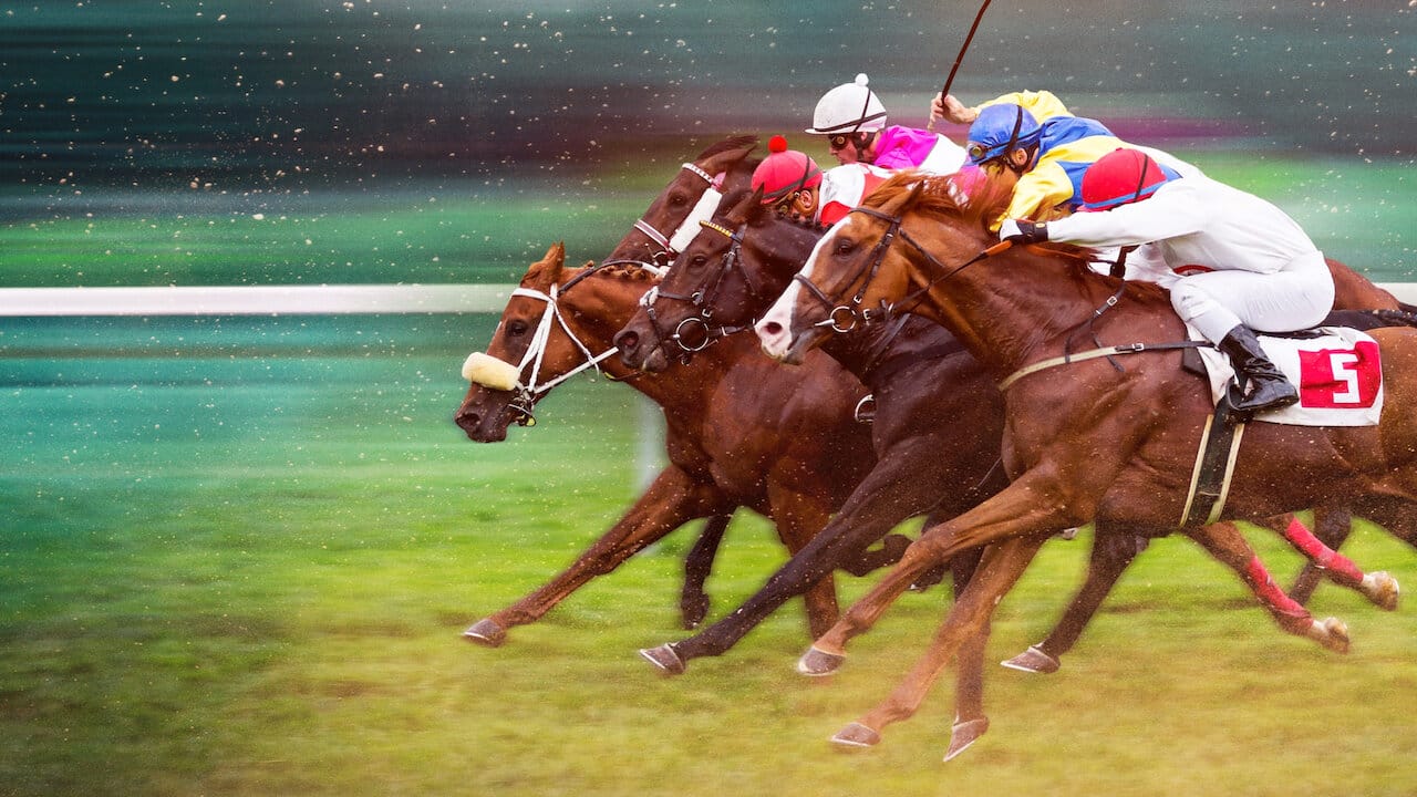 왕관을 향한 질주 - 넷플릭스