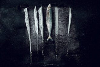 턴 오브 타이드: 하얗게 물든 바다에서