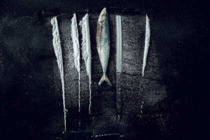 턴 오브 타이드: 하얗게 물든 바다에서