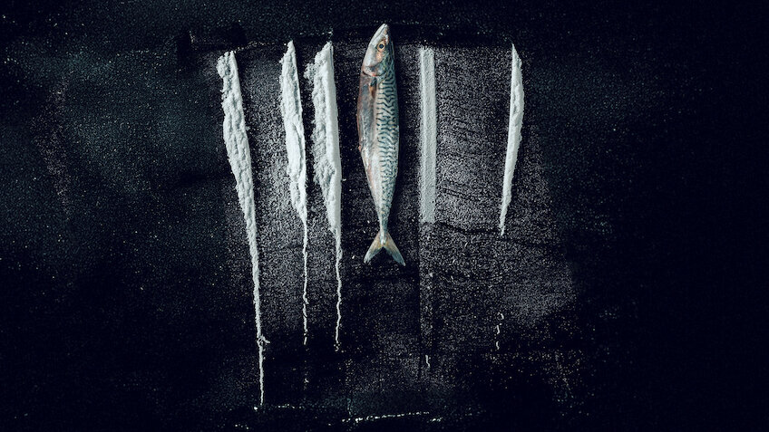 턴 오브 타이드: 하얗게 물든 바다에서